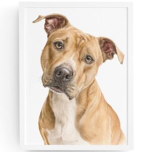 American Fawn Pit Bull Terrier Watercolor Wall Art Print Poster - Unframed